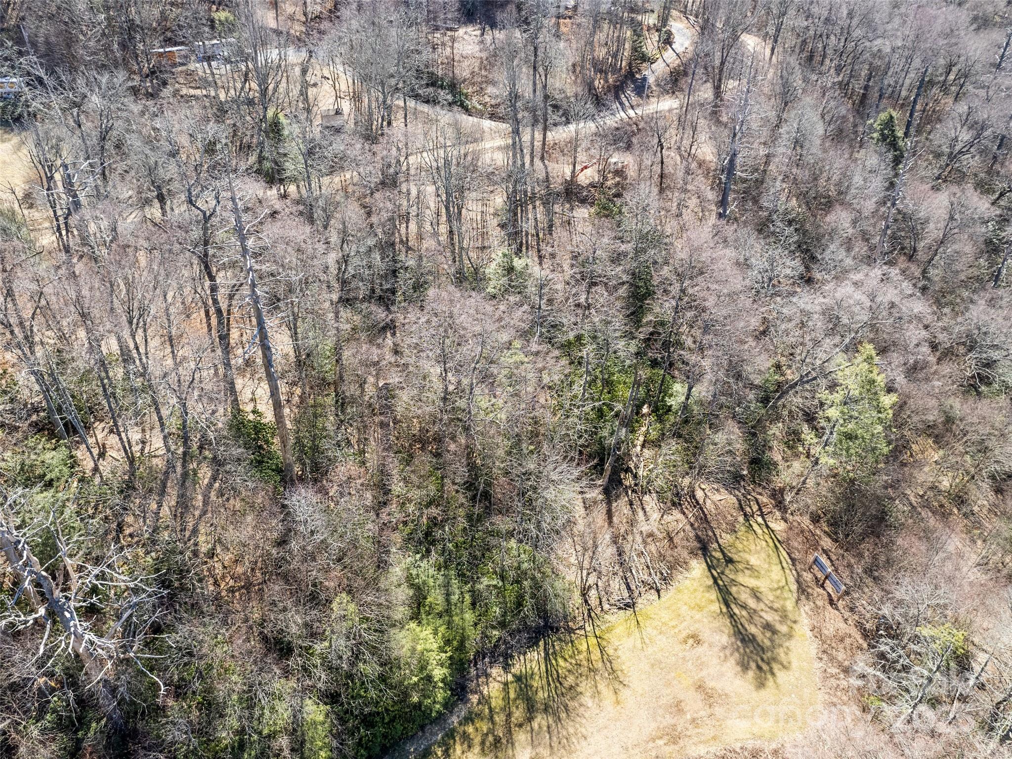 Lot 7 Spruce Flats Road Maggie Valley, NC 28751 - Photo 8 of 11 a view of a yard with a tree