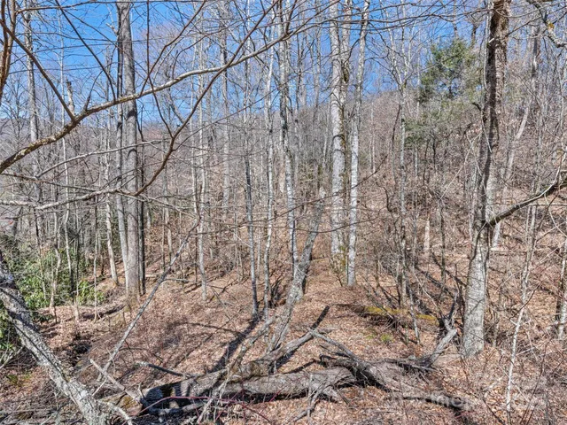 a backyard of a building
