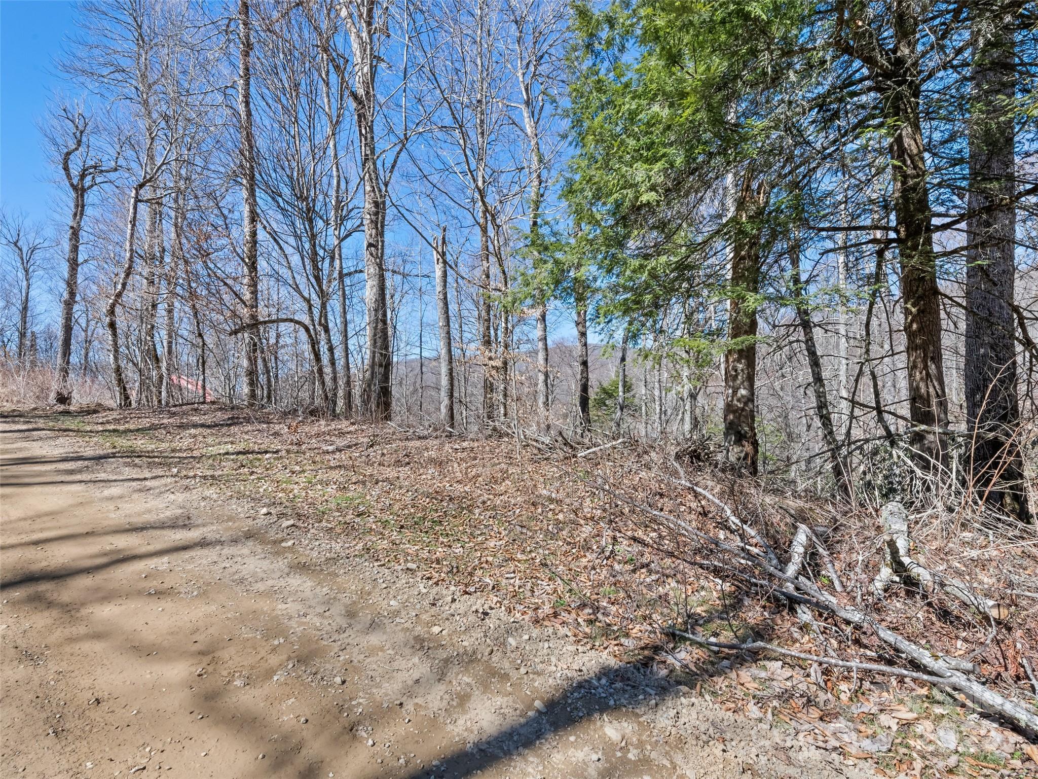 Lot 7 Spruce Flats Road Maggie Valley, NC 28751 - Photo 10 of 11 a backyard of a house with lots of green space