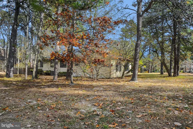a view of a white house with a yard and large trees