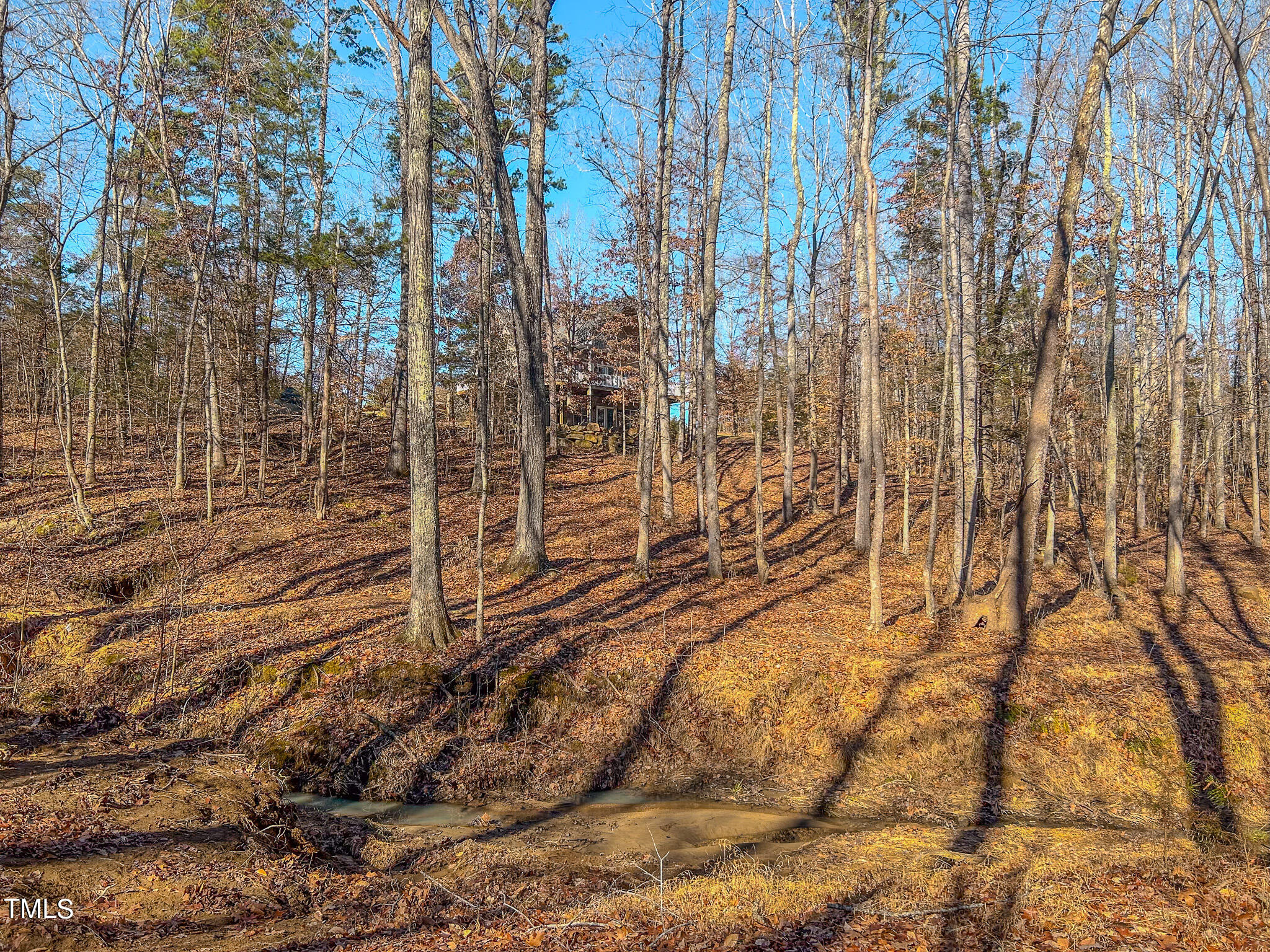 1704 Maurice Daniels Road Roxboro, NC 27574 - Photo 67 of 74 IMG_8280