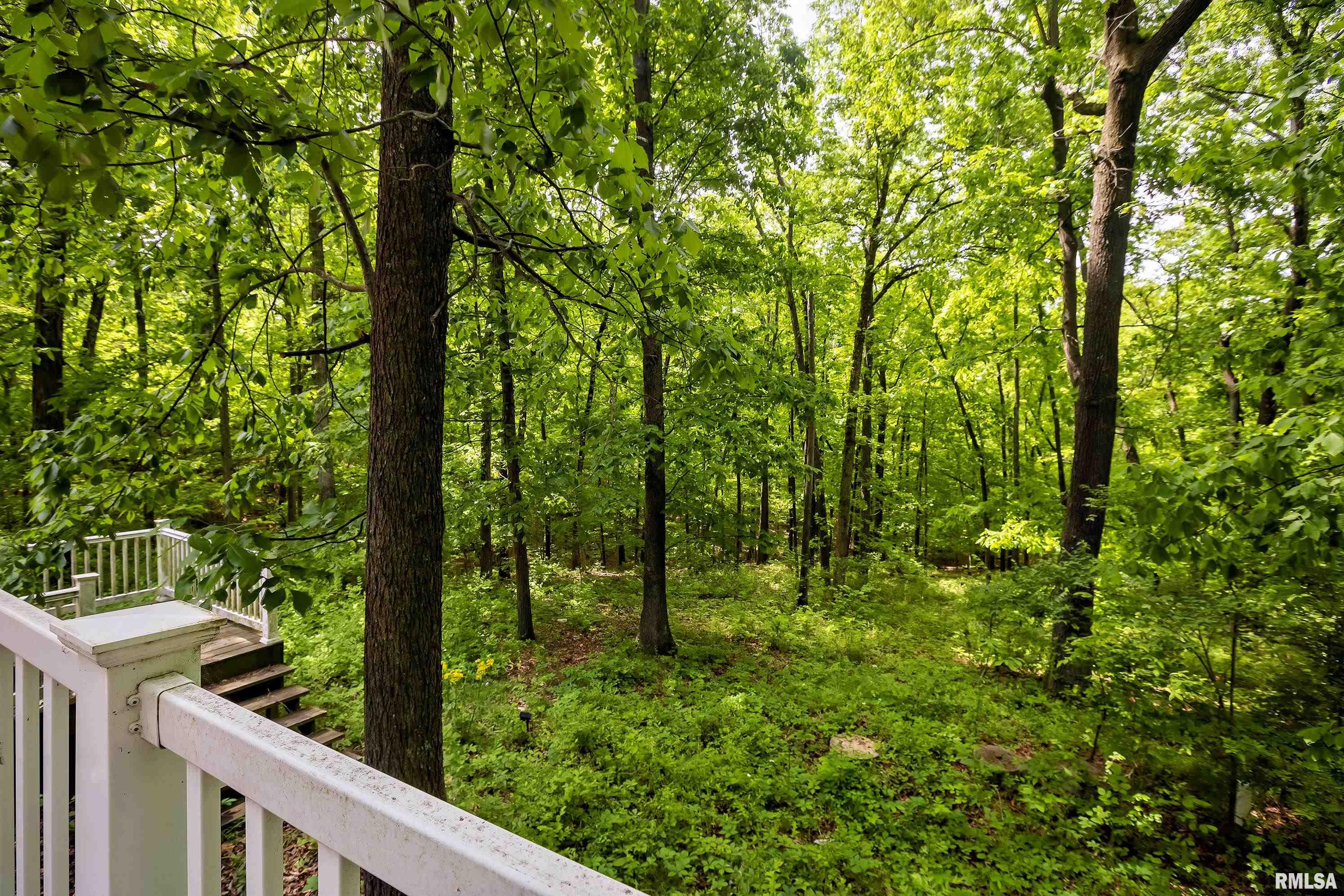 2947 Dillinger Road Carbondale, IL 62901 - Photo 29 of 37 Gallery Image 29