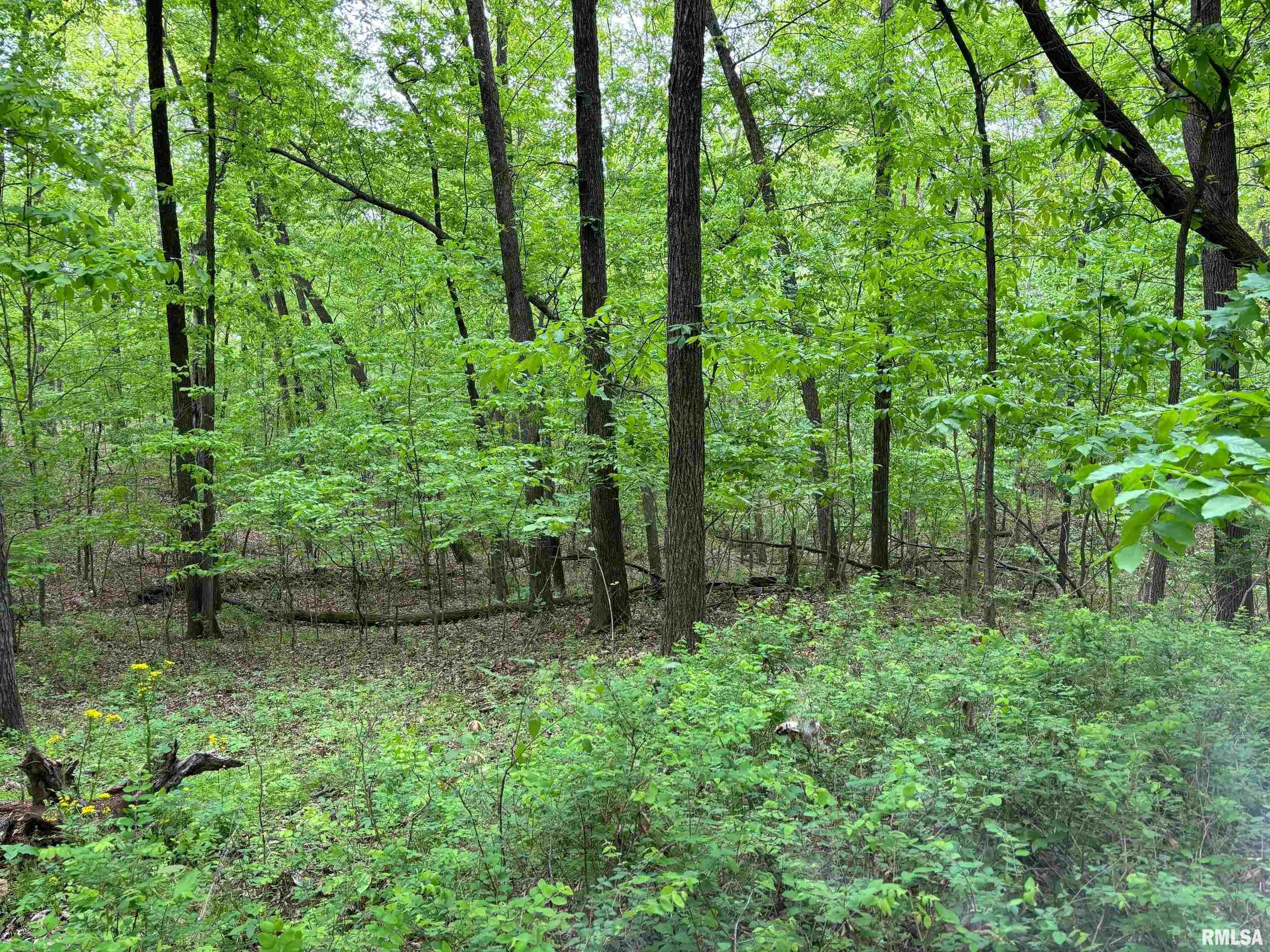 2947 Dillinger Road Carbondale, IL 62901 - Photo 37 of 37 Gallery Image 37