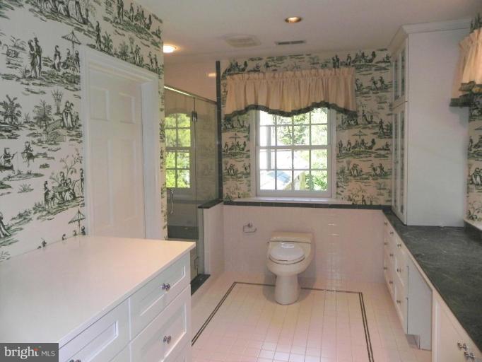 110 Enfield Road Baltimore, MD 21212 - Photo 15 of 26 Master Bath #2