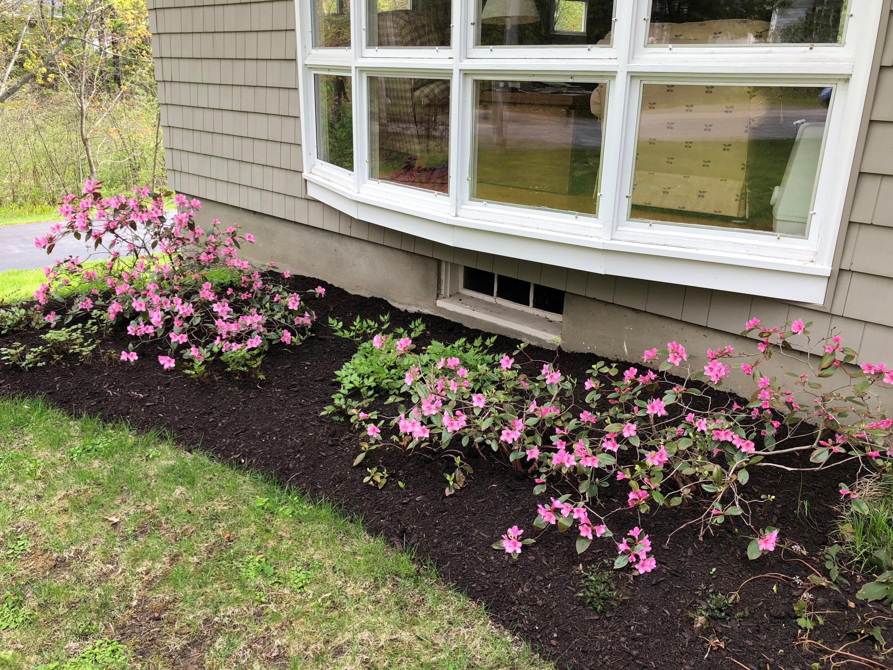 35 Rand Road Yarmouth, ME 04096 - Photo 16 of 42 25 rand ext1