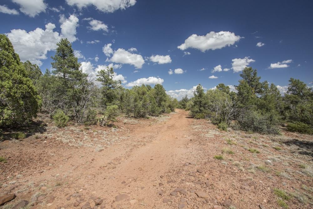 1200 West Airport Road Payson, AZ 85541 - Photo 14 of 50