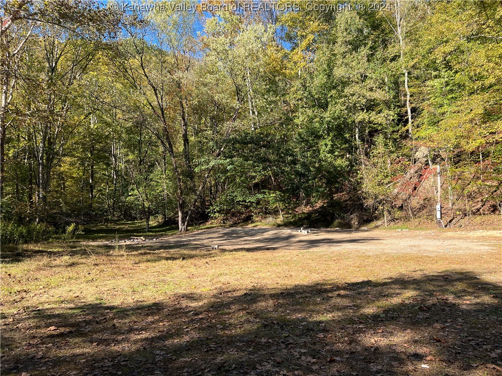 1586 Porter Creek Road Bomont, WV 25030 - Photo 4 of 12 Gallery Image 4