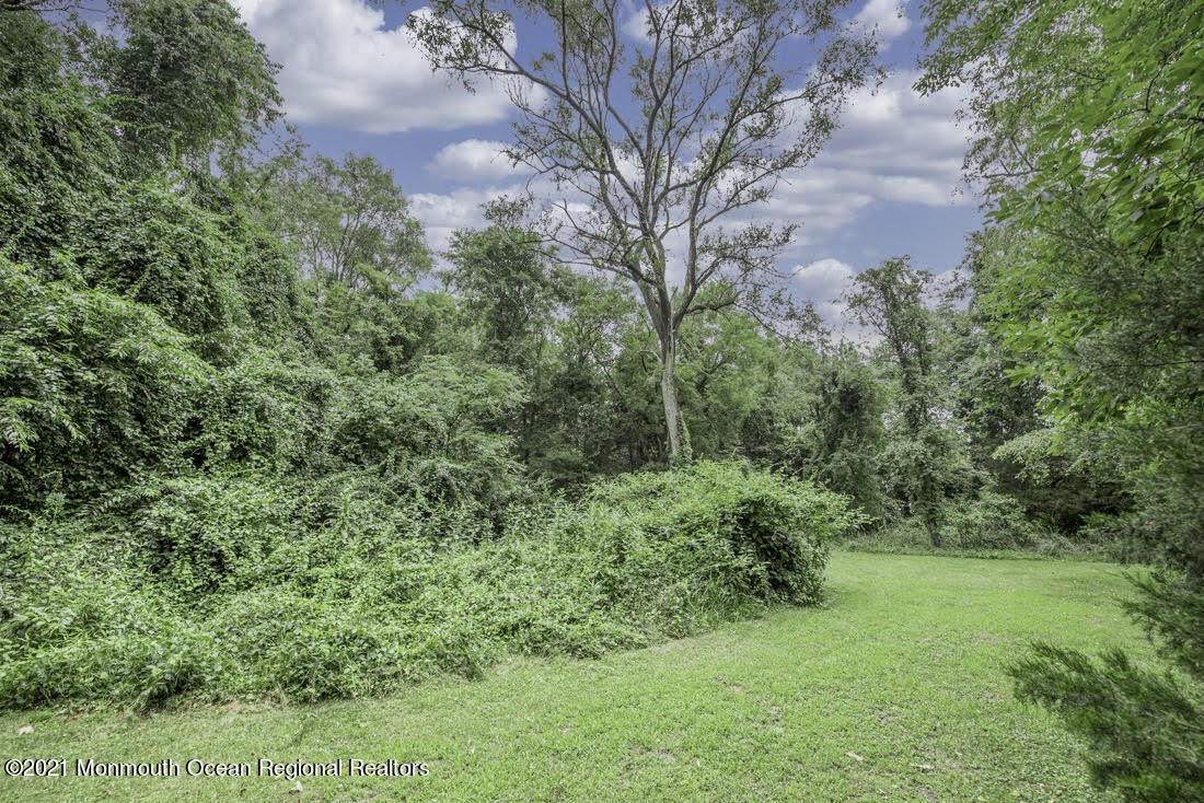 490 Hyson Road Jackson, NJ 08527 - Photo 46 of 47 Back yard