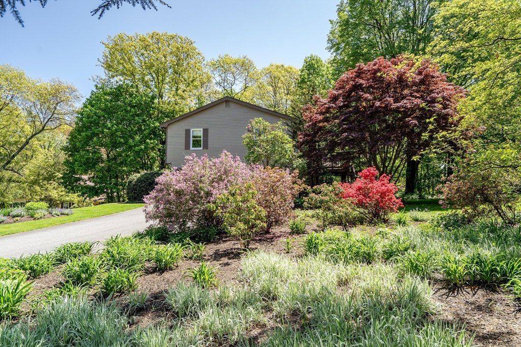 7 Jean Road Lexington, MA 02421 - Photo 35 of 38