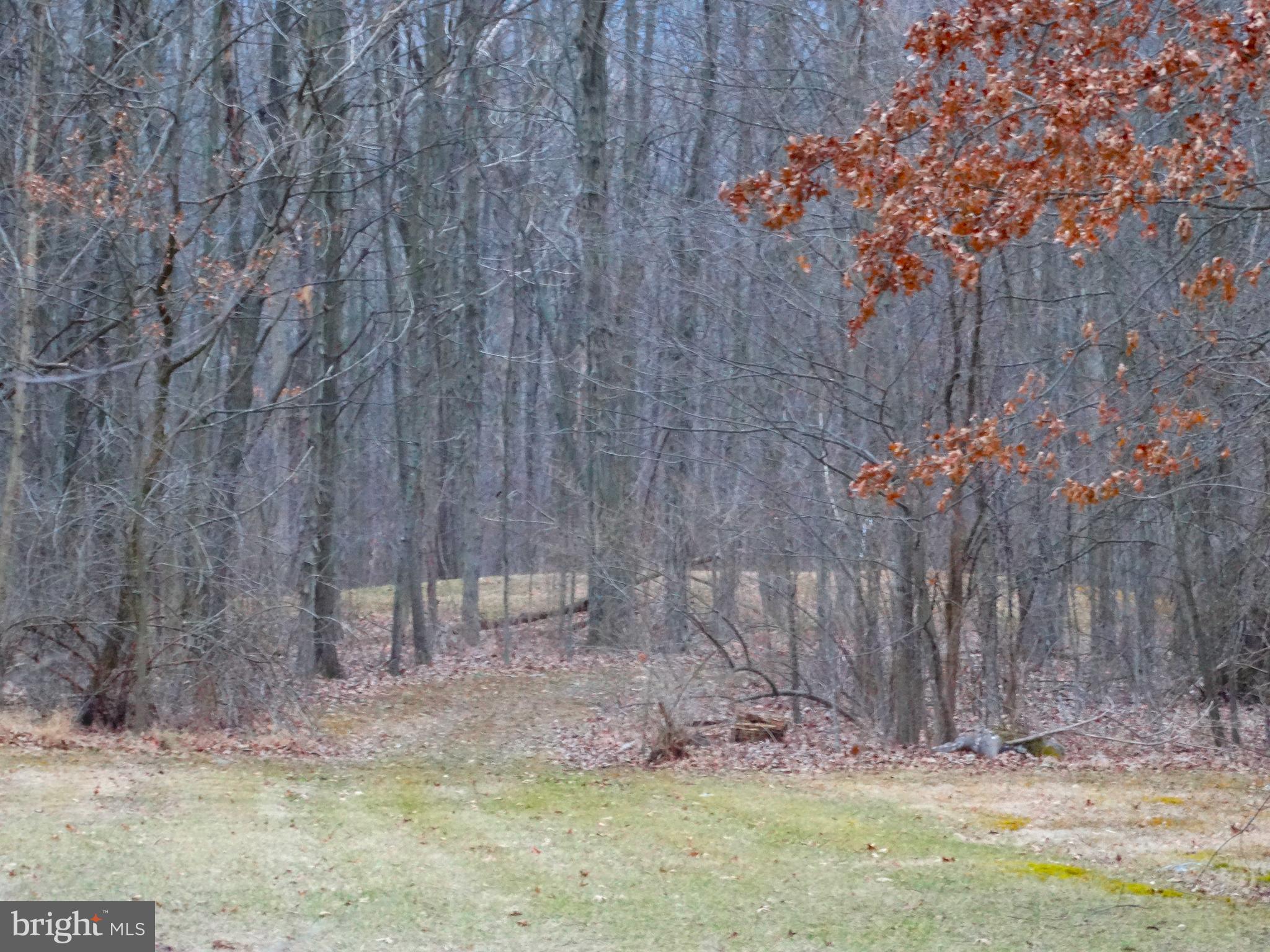 19890 Amberson Road Spring Run, PA 17262 - Photo 44 of 47