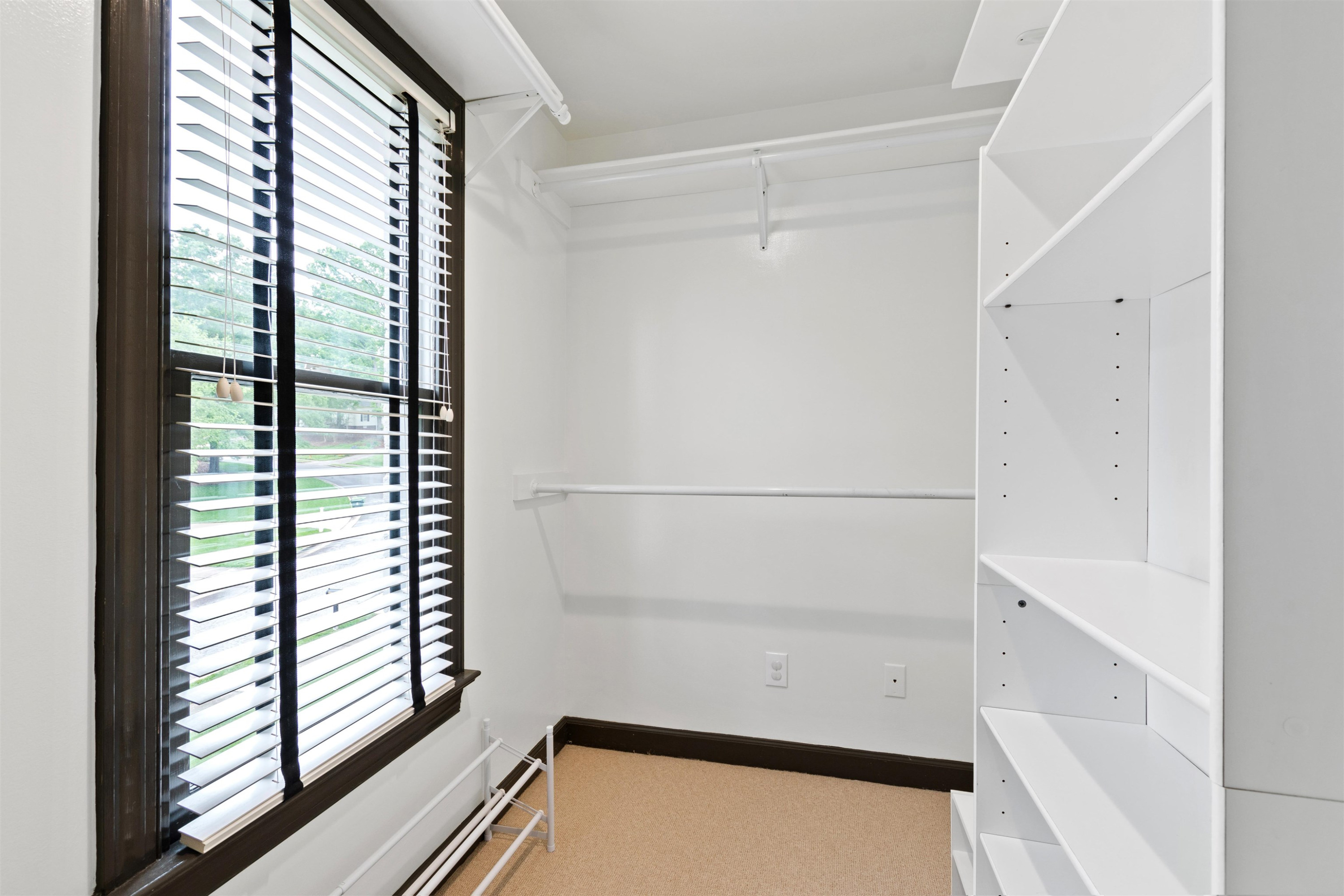 3241 Anderson Drive Raleigh, NC 27609 - Photo 32 of 68 Photo 32