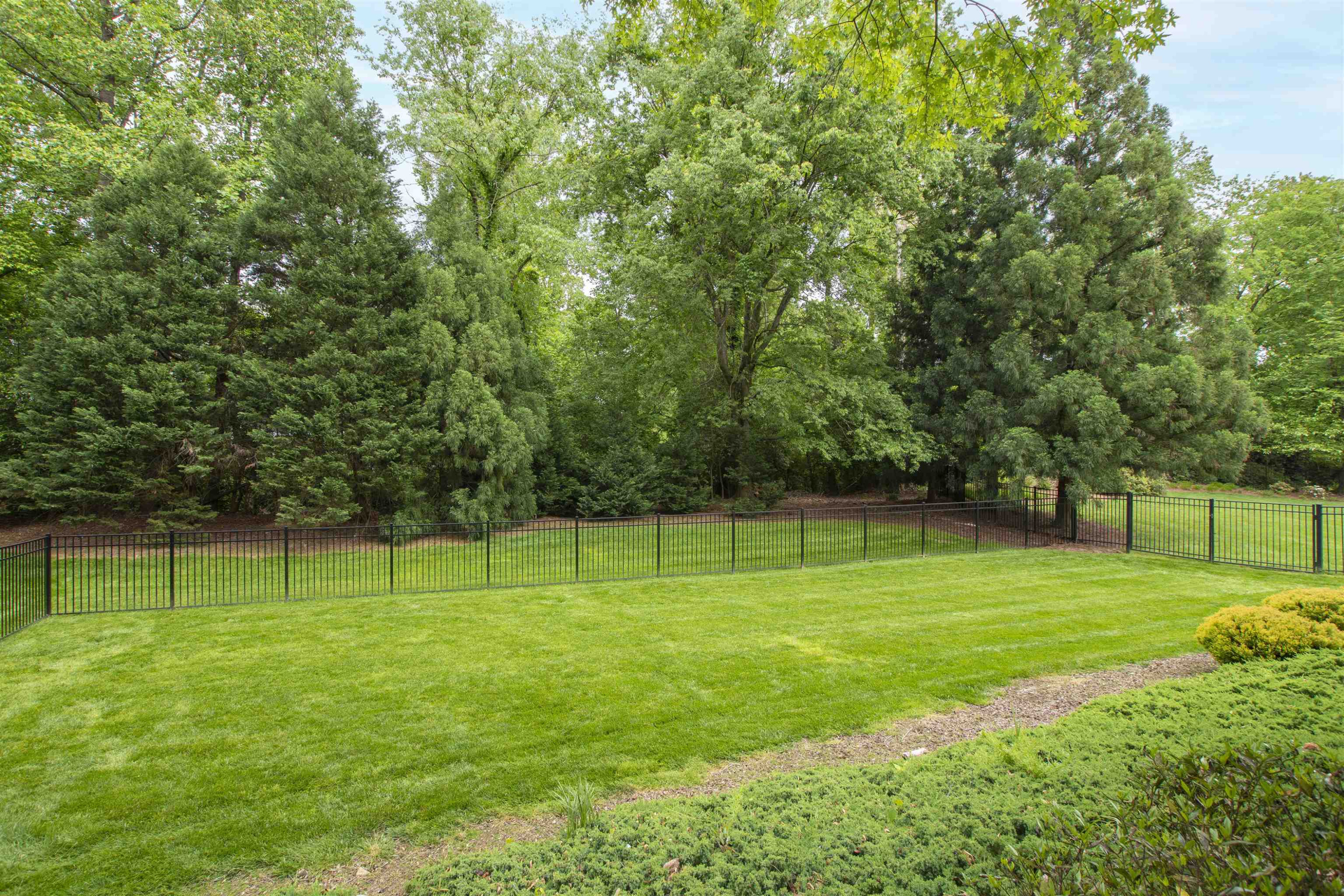 3241 Anderson Drive Raleigh, NC 27609 - Photo 64 of 68 Photo 64