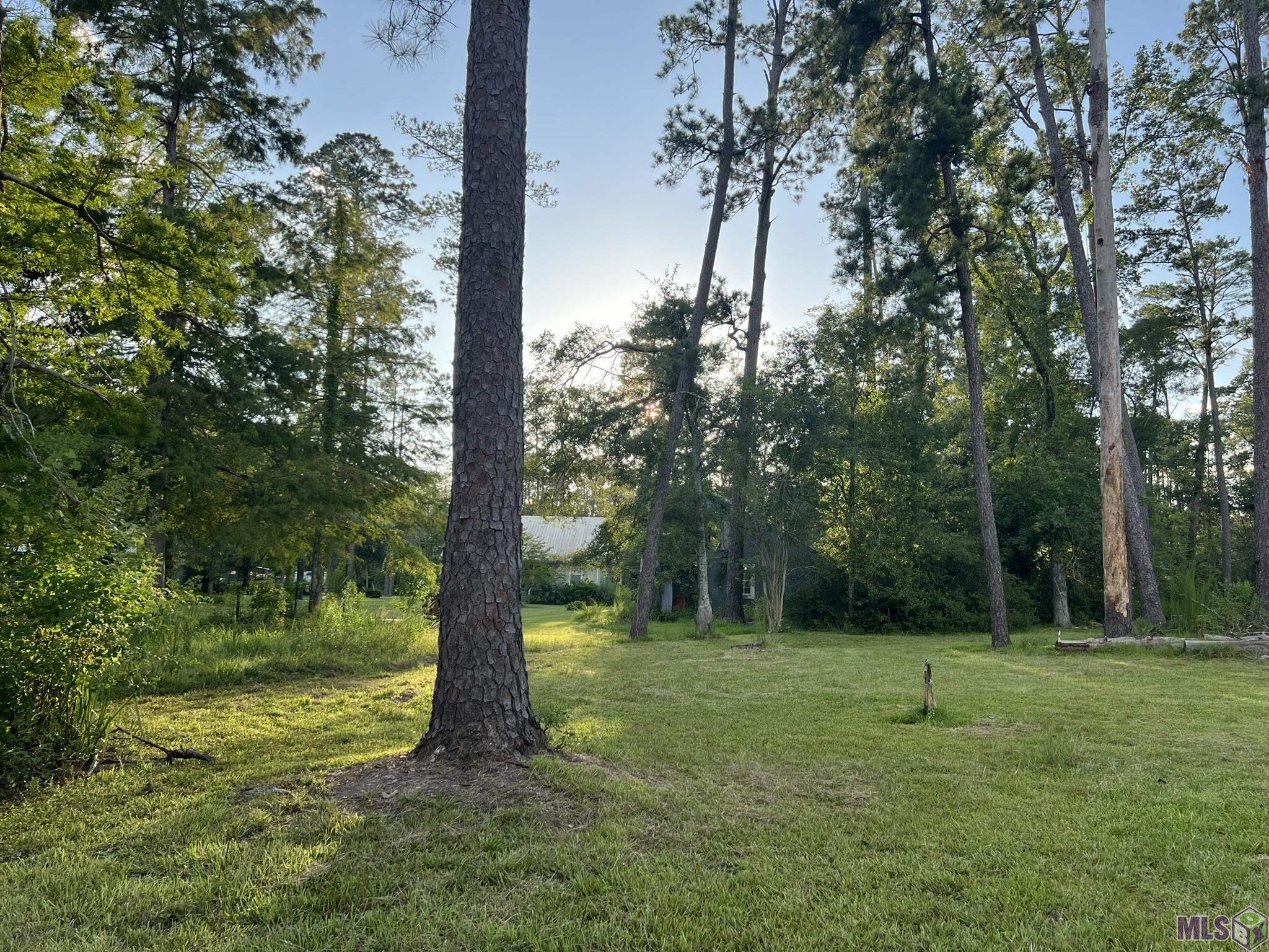 21750 Rosemound Lane Springfield, LA 70462 - Photo 10 of 22