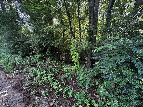 $25,000 | 0 Rubin Drive, Pineville, LA 71360