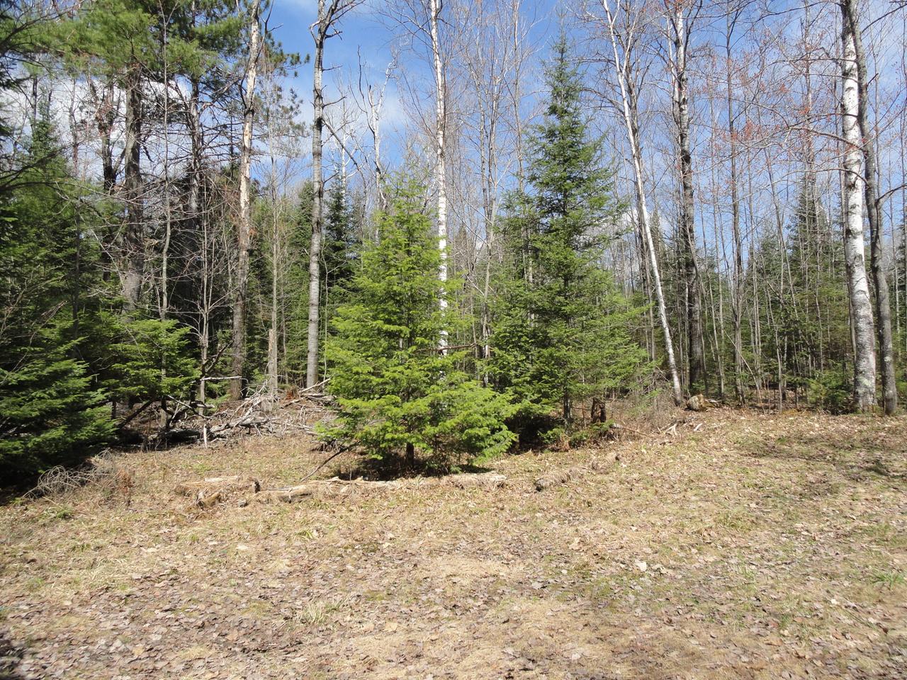 14-a Breezy Pine Road Rhinelander, WI 54501 - Photo 17 of 35 Gallery Image 17