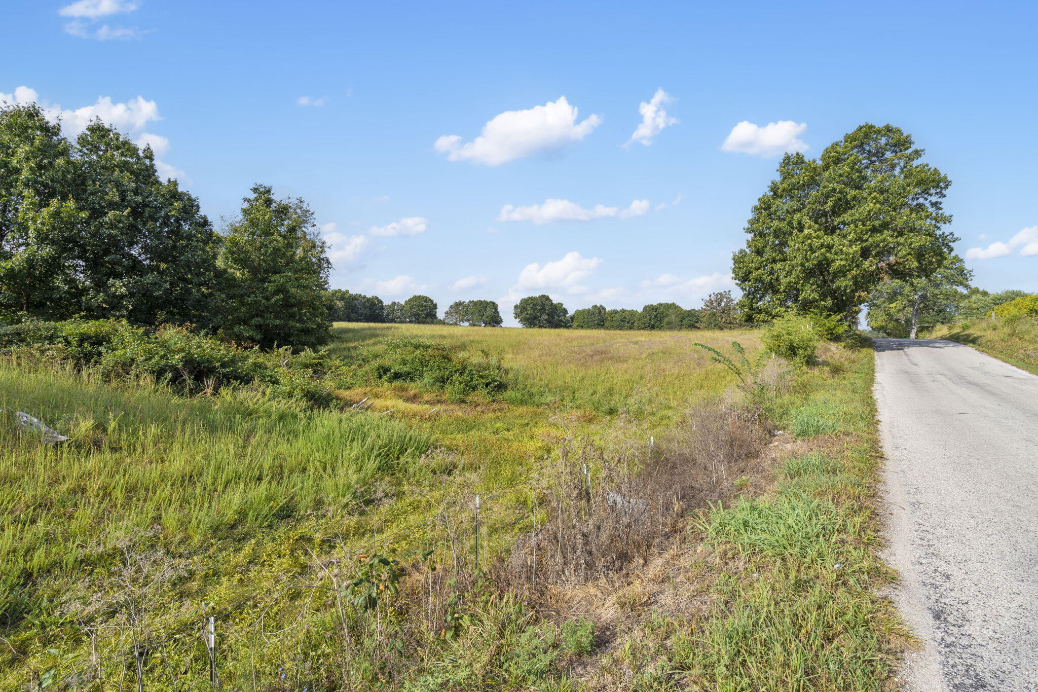 808 Coon Ridge Road Galena, MO 65656 - Photo 13 of 23 808 Coon Ridge RD