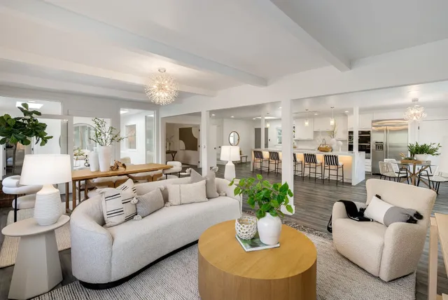 a living room with furniture potted plant and a table