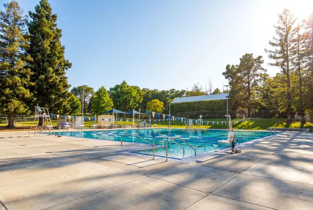 a view of a yard with palm tree
