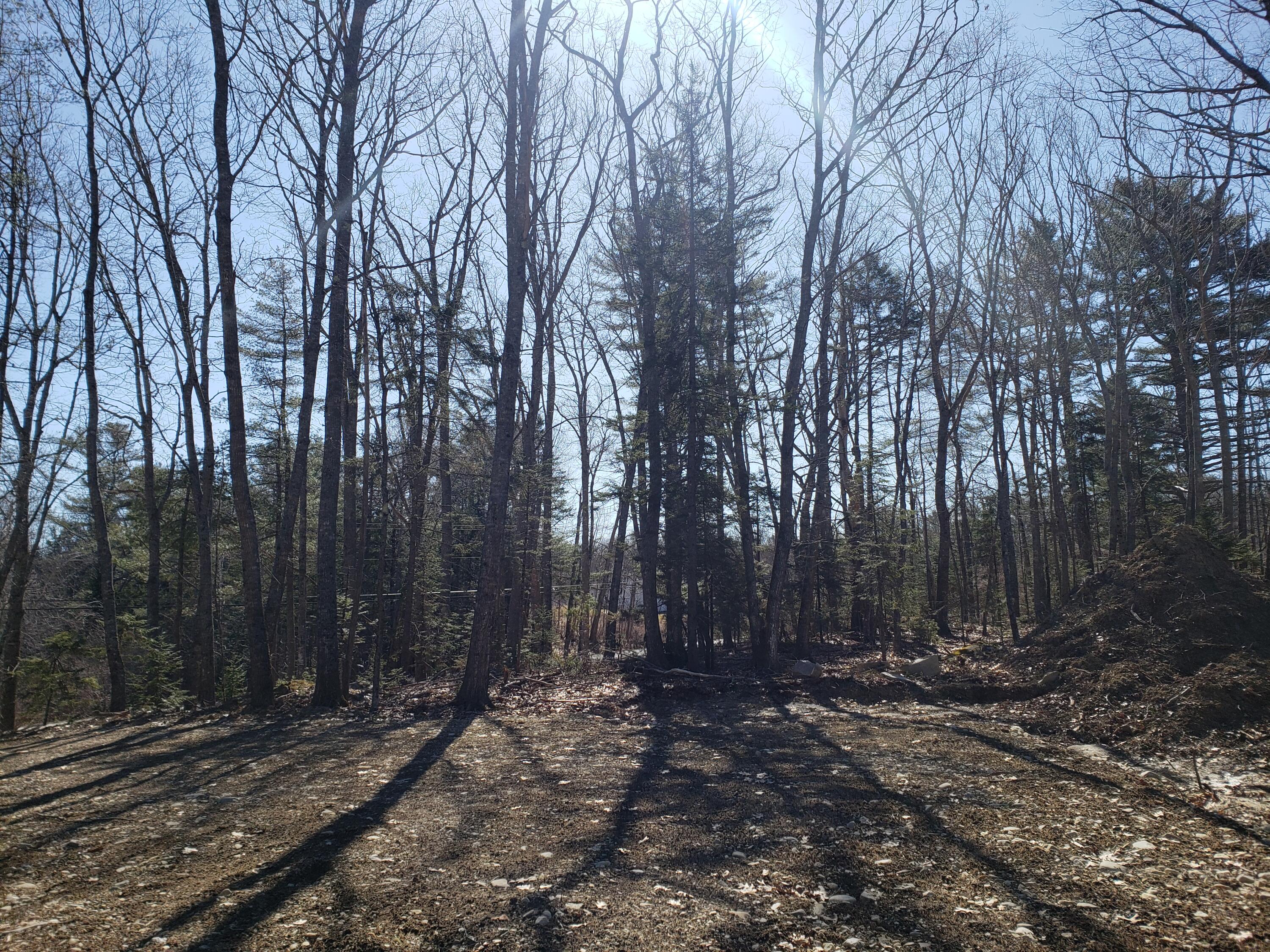 823 Castine Road Orland, ME 04472 - Photo 17 of 25 20220330_102458