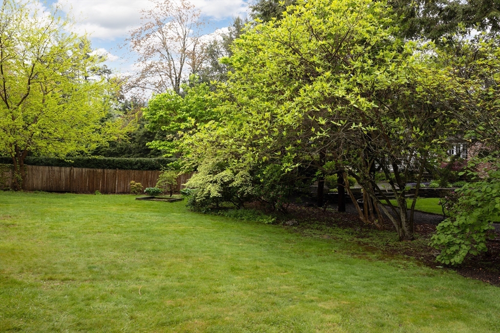37 Randolph Road Brookline, MA 02467 - Photo 20 of 20 a view of a backyard