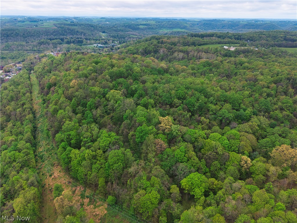 0 Bealls Ridge Wellsburg, WV 26070 - Photo 19 of 46