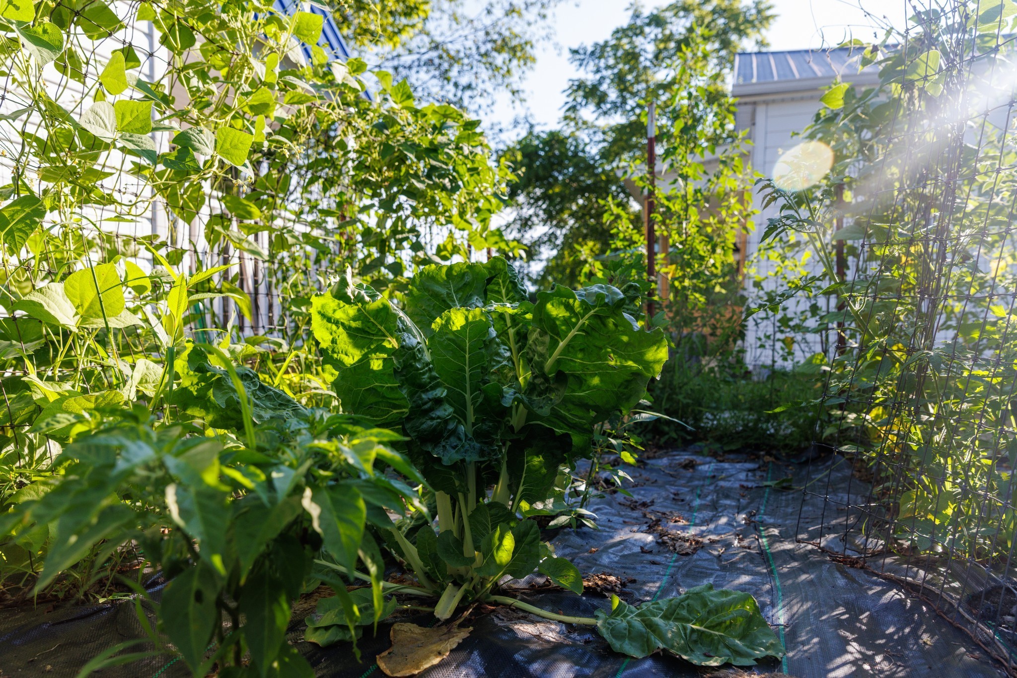 7365 Coldwater Road Fairview, TN 37062 - Photo 27 of 58