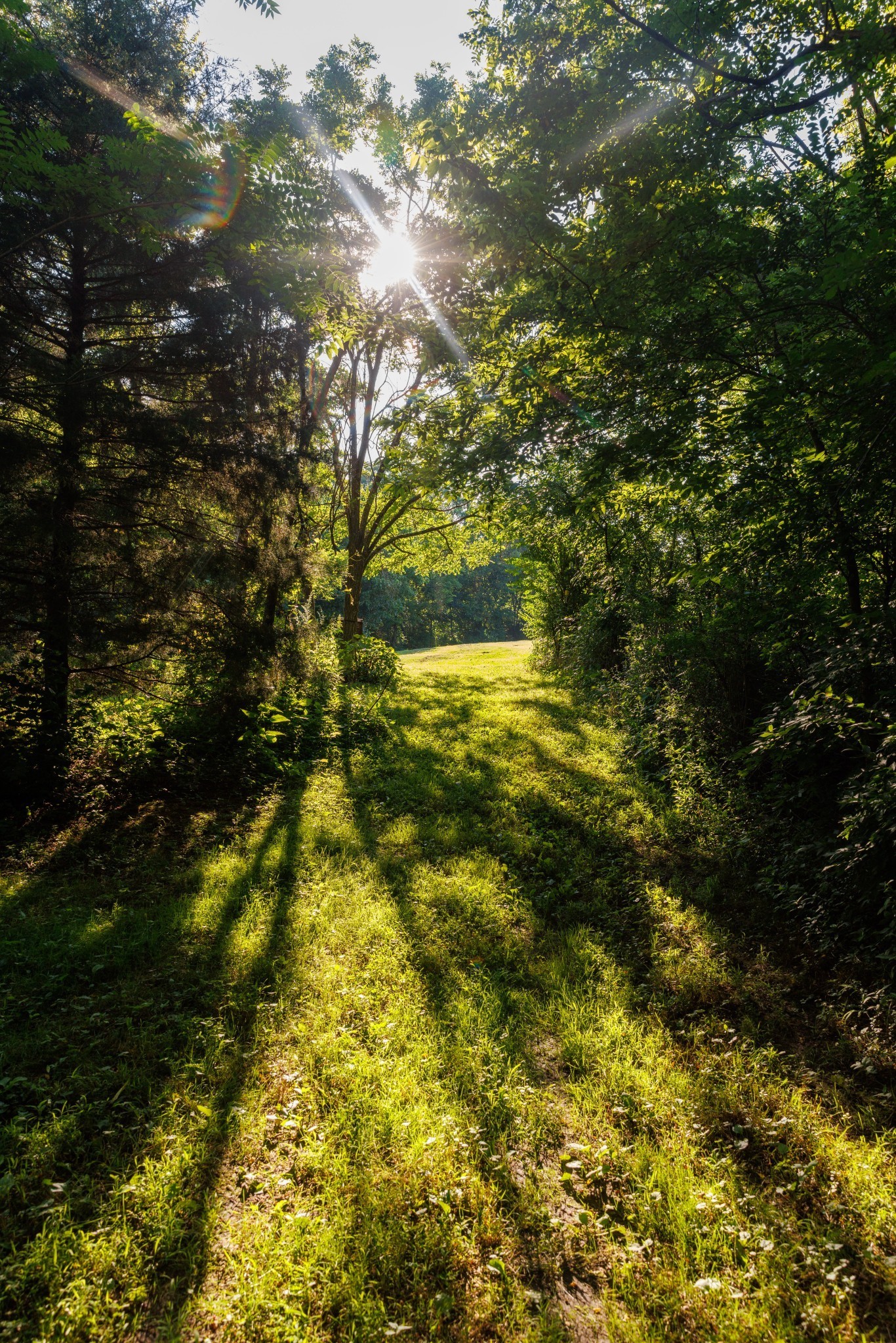 7365 Coldwater Road Fairview, TN 37062 - Photo 29 of 58