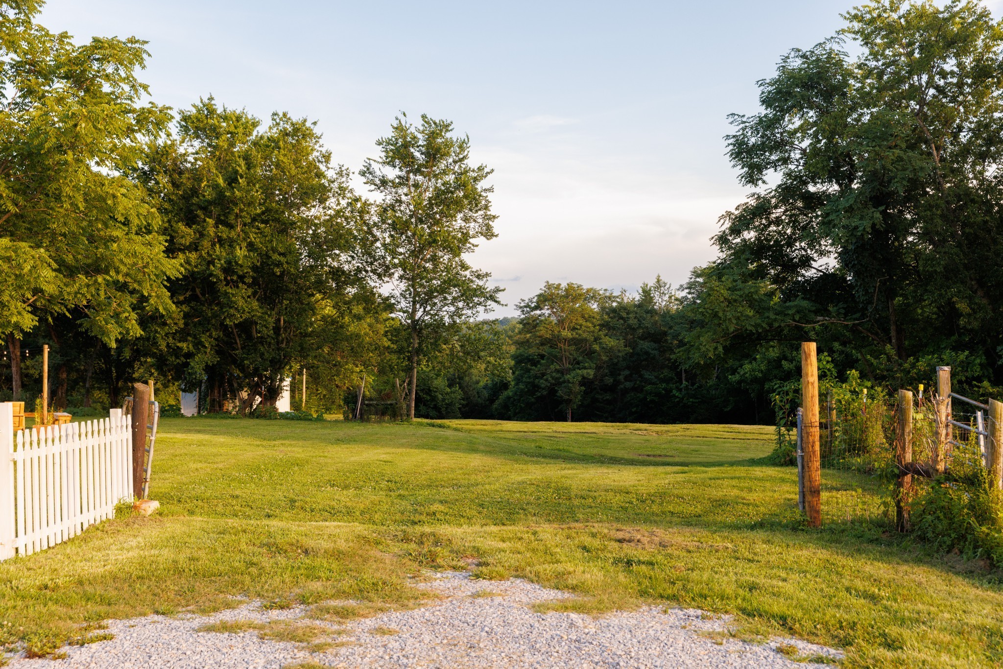 7365 Coldwater Road Fairview, TN 37062 - Photo 38 of 58
