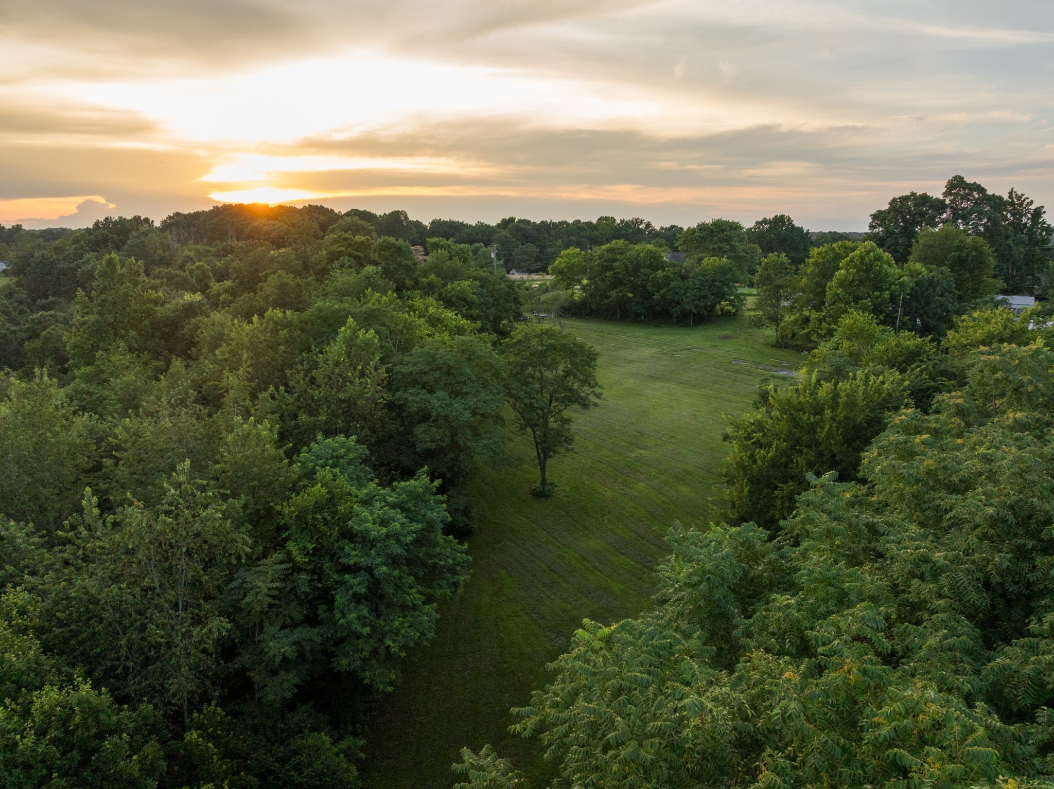 7365 Coldwater Road Fairview, TN 37062 - Photo 43 of 58