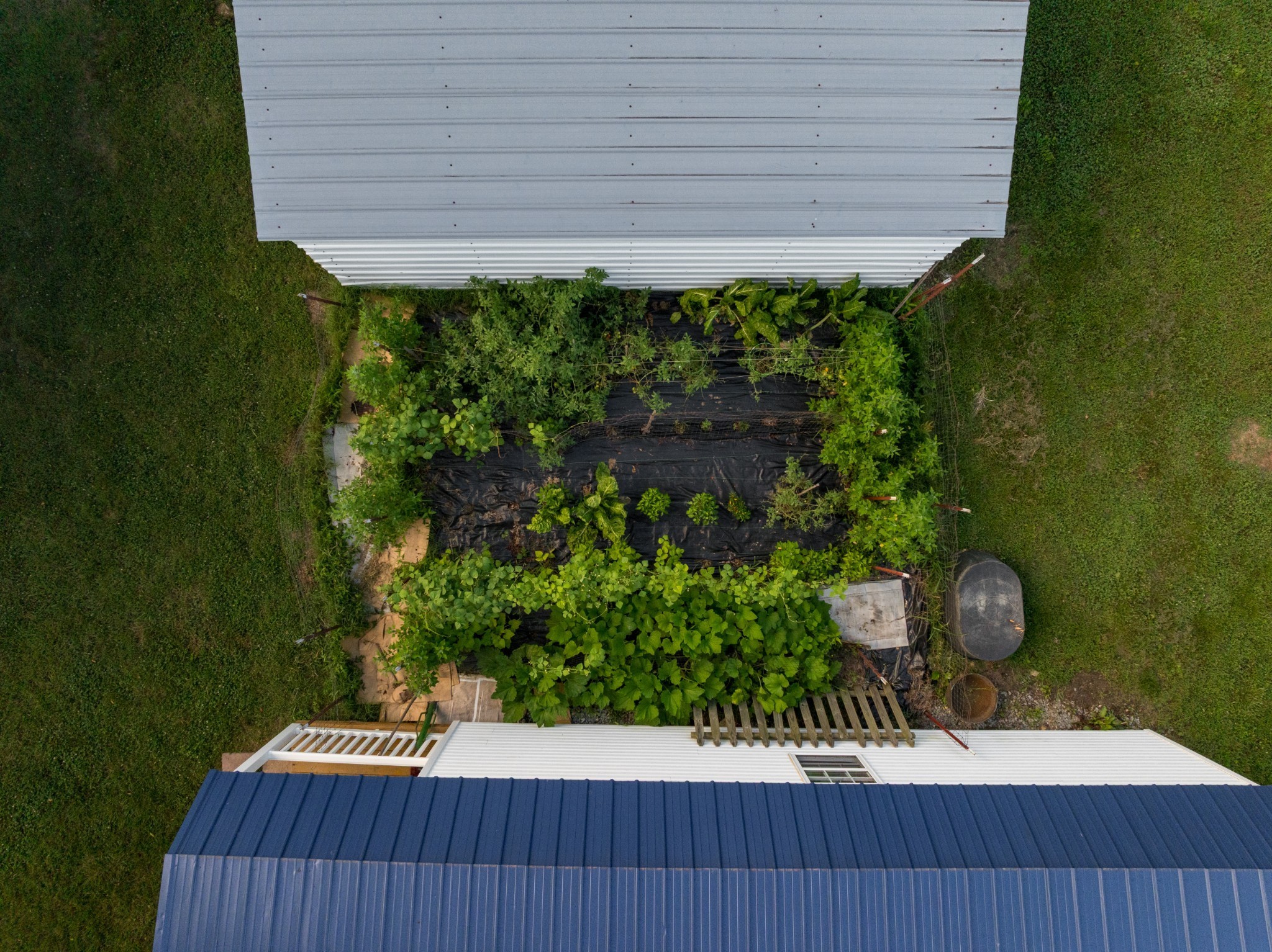 7365 Coldwater Road Fairview, TN 37062 - Photo 45 of 58