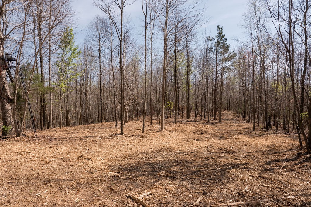 7365 Coldwater Road Fairview, TN 37062 - Photo 53 of 58