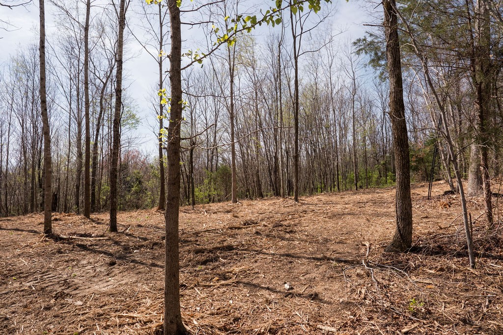 7365 Coldwater Road Fairview, TN 37062 - Photo 54 of 58