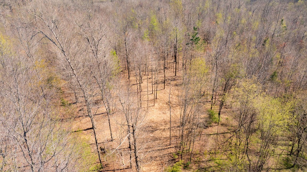 7365 Coldwater Road Fairview, TN 37062 - Photo 55 of 58