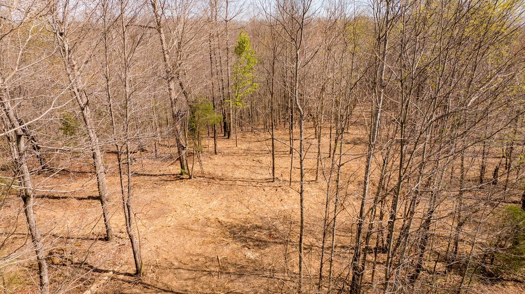 7365 Coldwater Road Fairview, TN 37062 - Photo 56 of 58