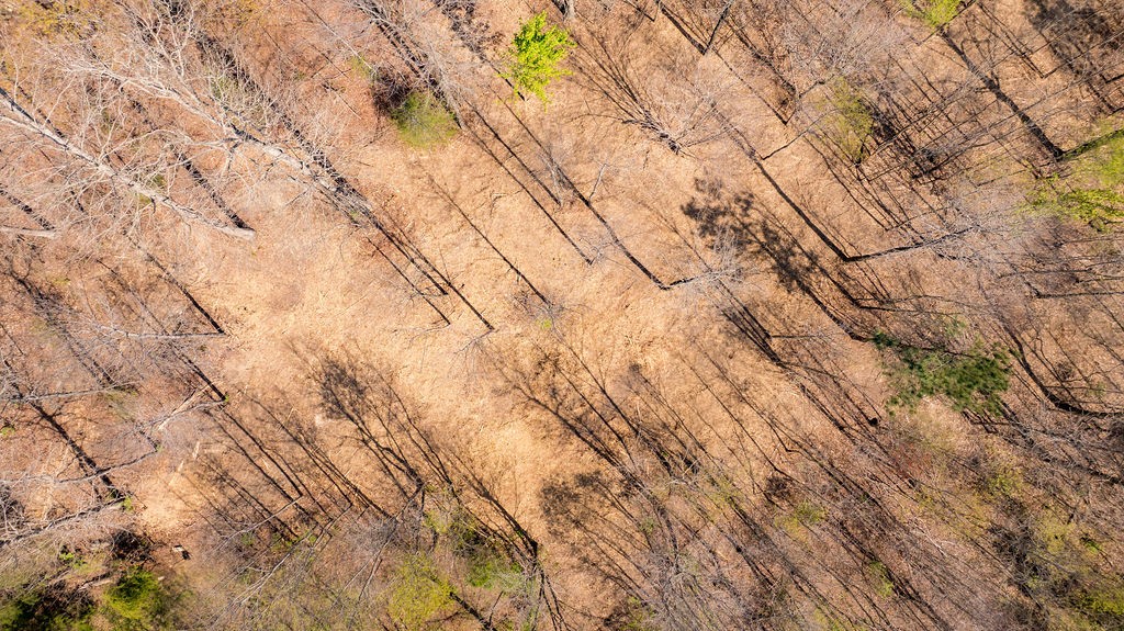 7365 Coldwater Road Fairview, TN 37062 - Photo 57 of 58