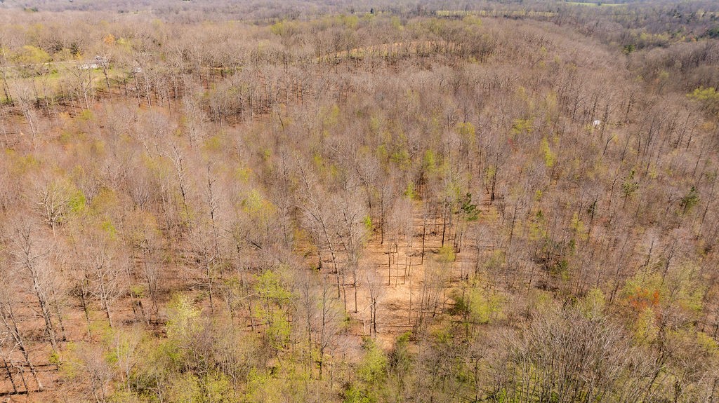 7365 Coldwater Road Fairview, TN 37062 - Photo 58 of 58