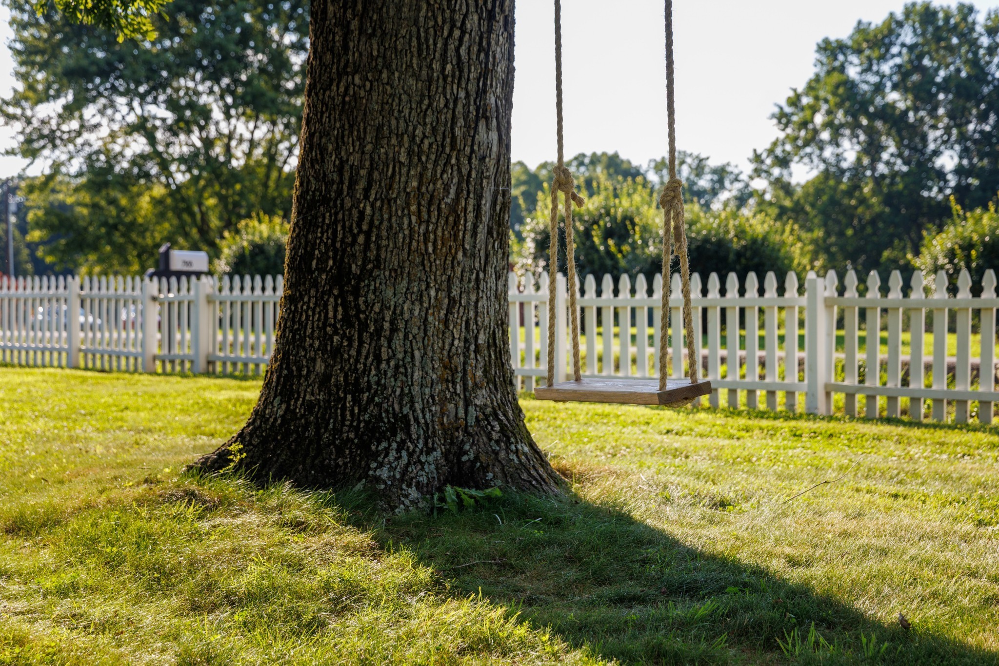 7365 Coldwater Road Fairview, TN 37062 - Photo 6 of 58