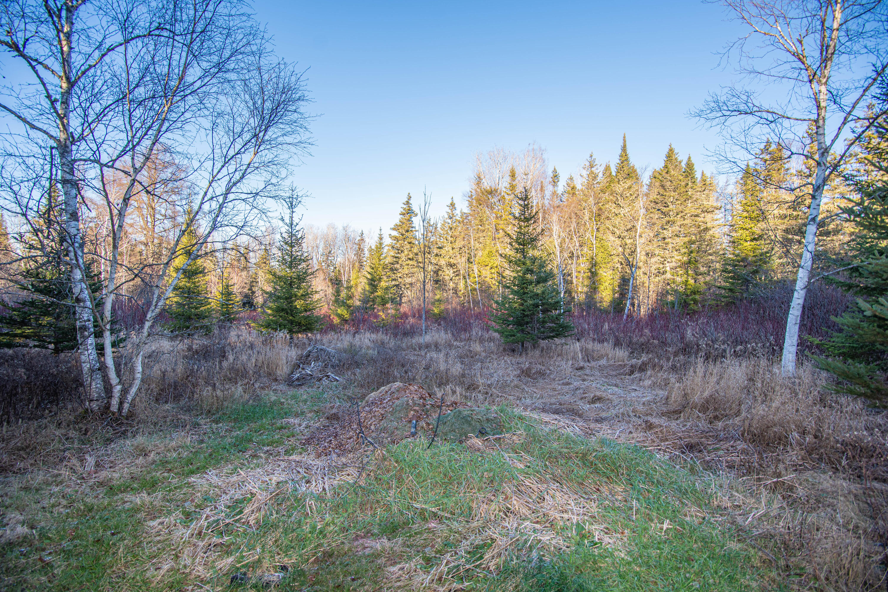 304 Grivois Road Grand Isle, ME 04746 - Photo 19 of 39 DSC_5861