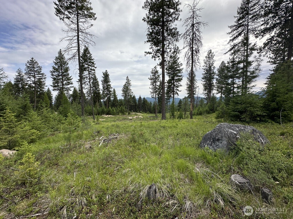 3600 Sheridan Road, Unit P Republic, WA 99166 - Photo 7 of 8 Gallery Image 7