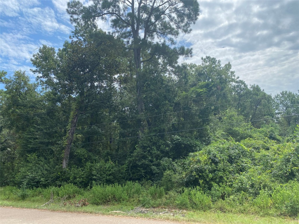 10 Redbud Drive Conroe, TX 77302 - Photo 4 of 8 a view of a yard