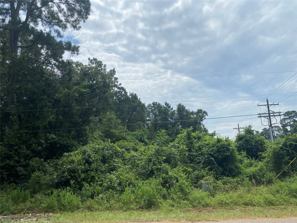 10 Redbud Drive Conroe, TX 77302 - Photo 5 of 8