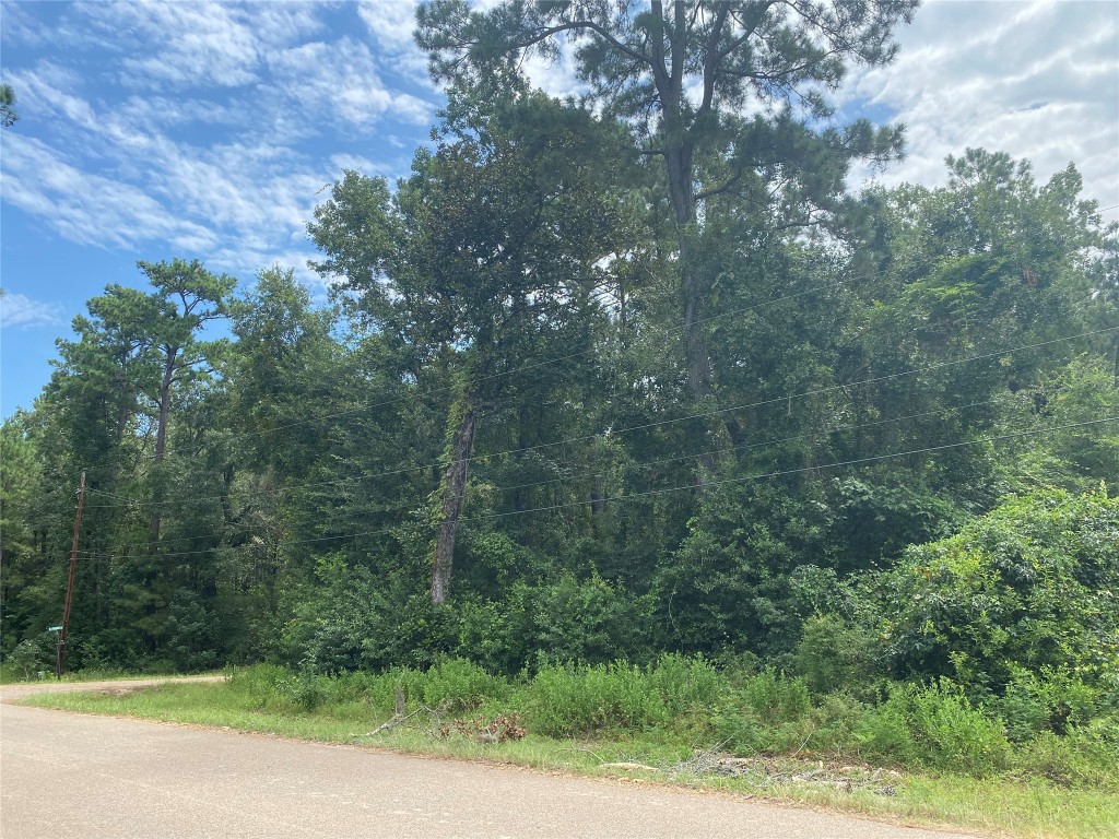 10 Redbud Drive Conroe, TX 77302 - Photo 6 of 8 a view of a yard with a trees