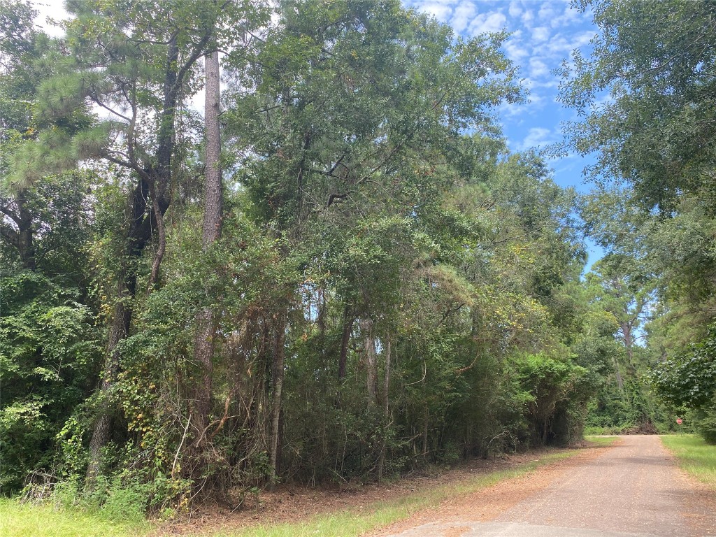 10 Redbud Drive Conroe, TX 77302 - Photo 7 of 8 a view of a forest with trees in front of it