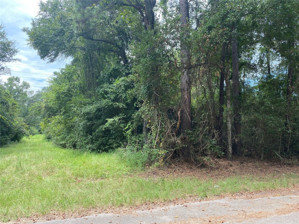 10 Redbud Drive Conroe, TX 77302 - Photo 8 of 8 a view of a forest with trees