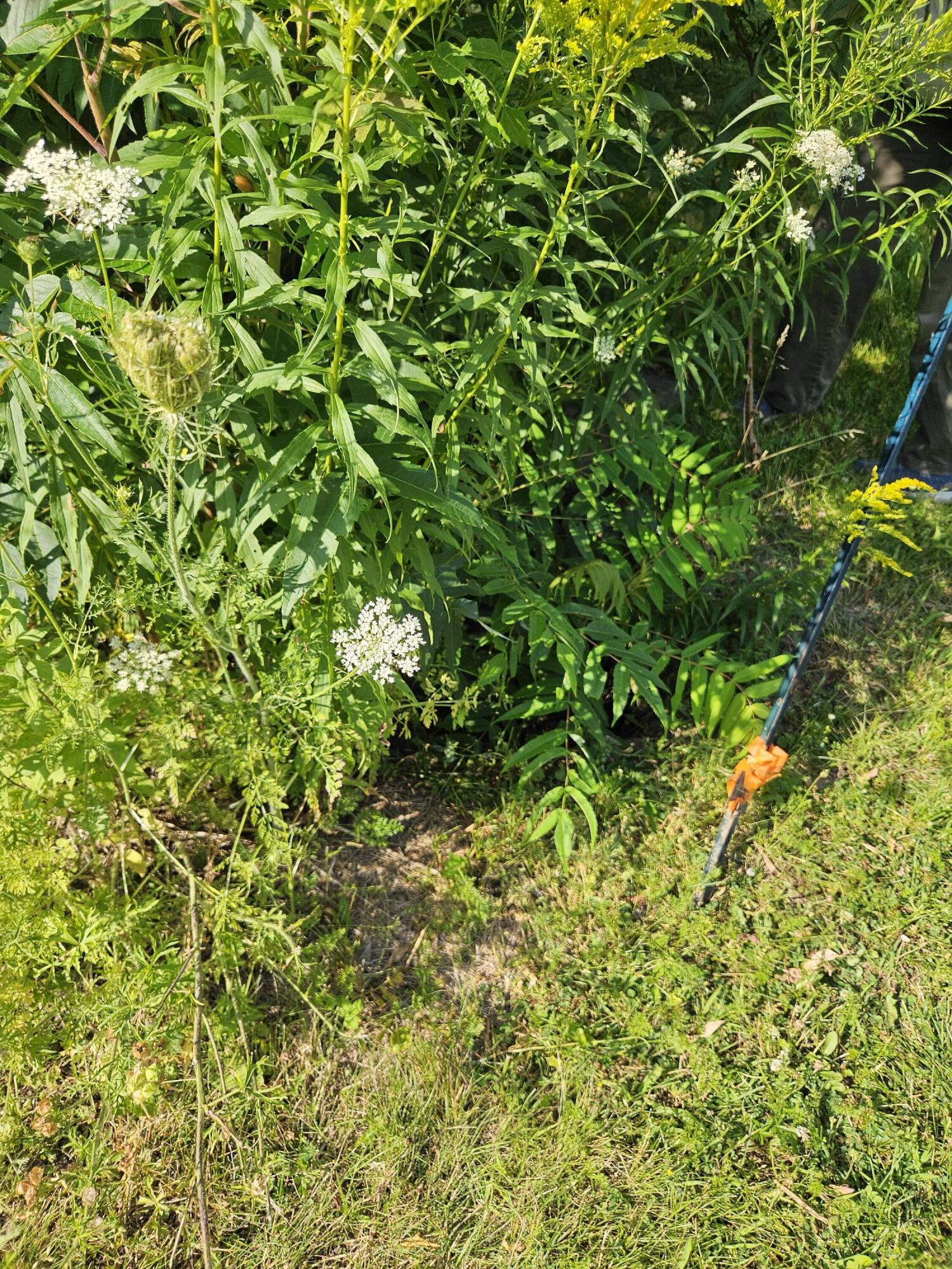 778 Kennebec Road Hampden, ME 04444 - Photo 16 of 30 20240722_161018