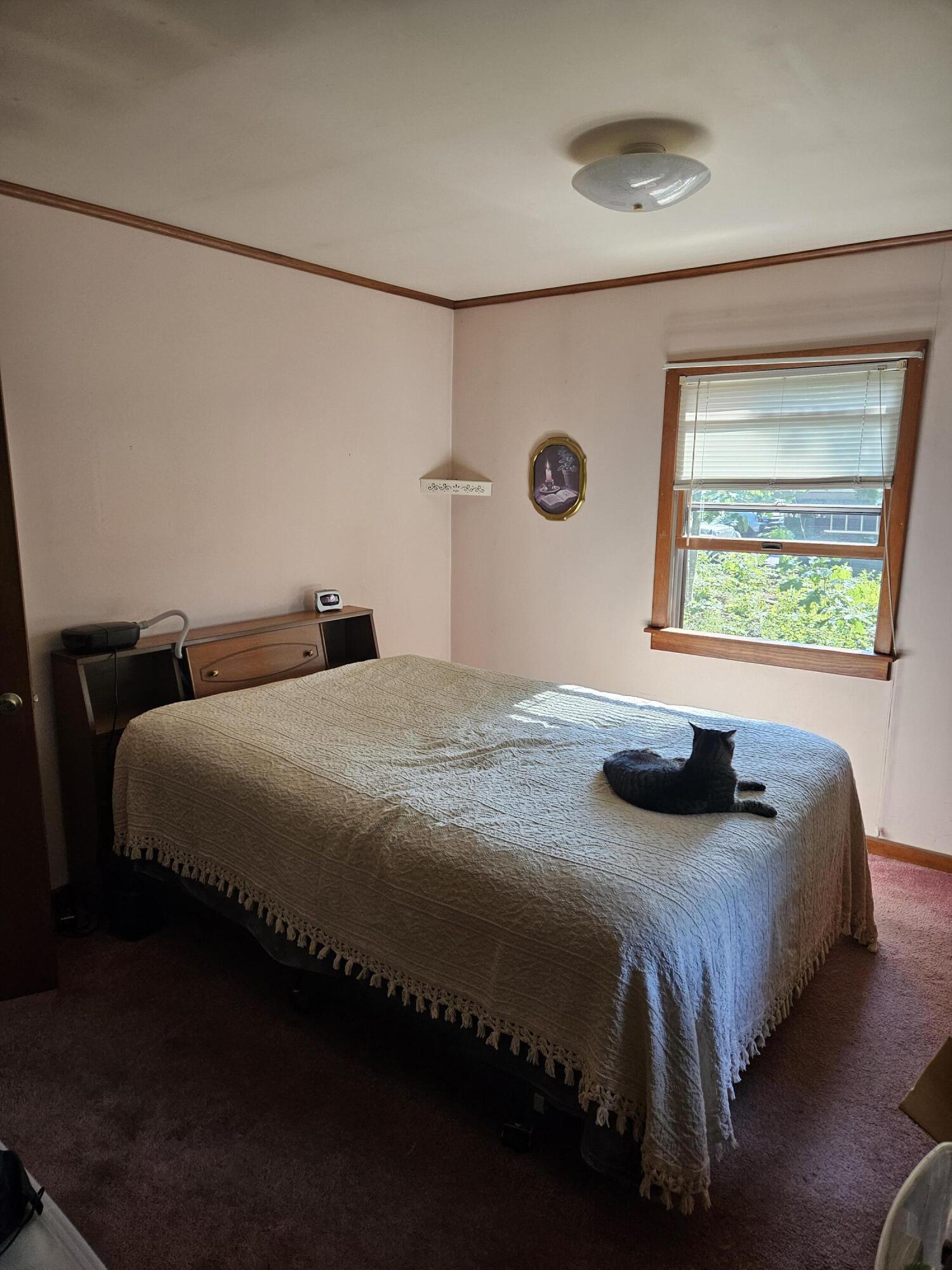 778 Kennebec Road Hampden, ME 04444 - Photo 22 of 30 20240722_160036