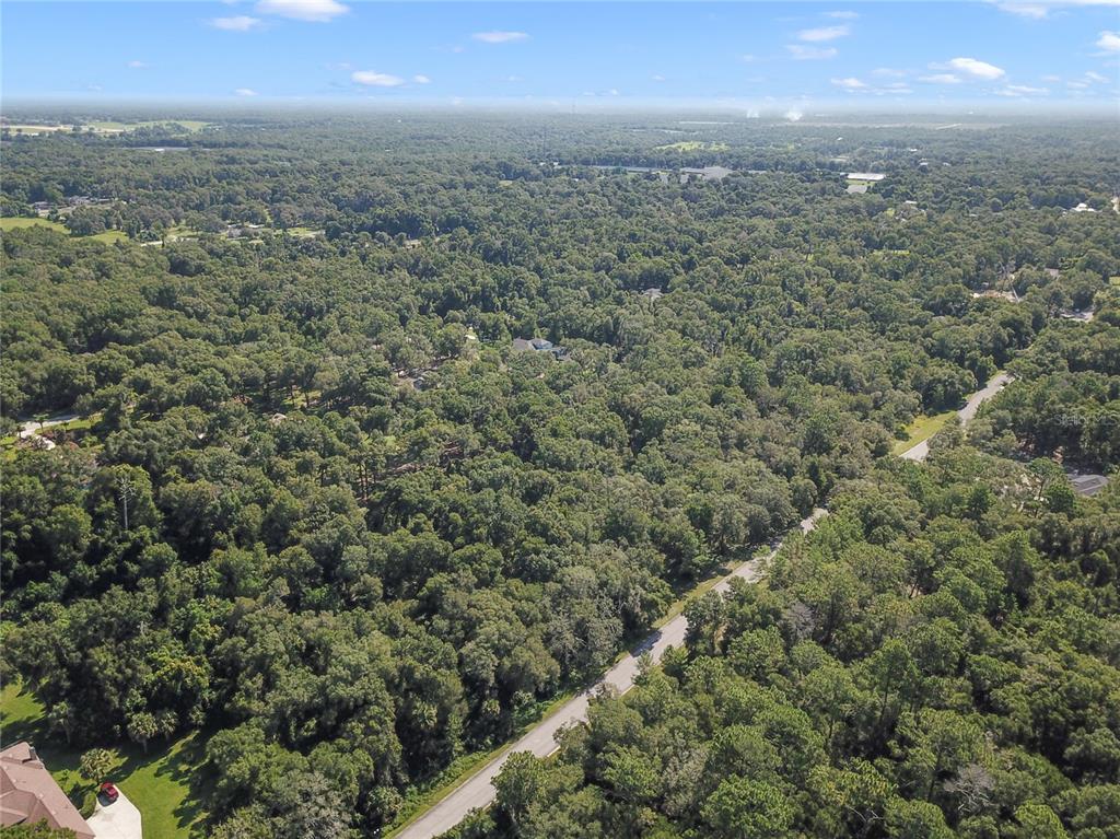 BUILDABLE ~ HIGH & DRY LAND ~ 2.5 ACRES ~ USDA ELIGIBLE ~ in a GATED COMMUNITY just minutes from LAKE WOODRUFF and HWY 17!