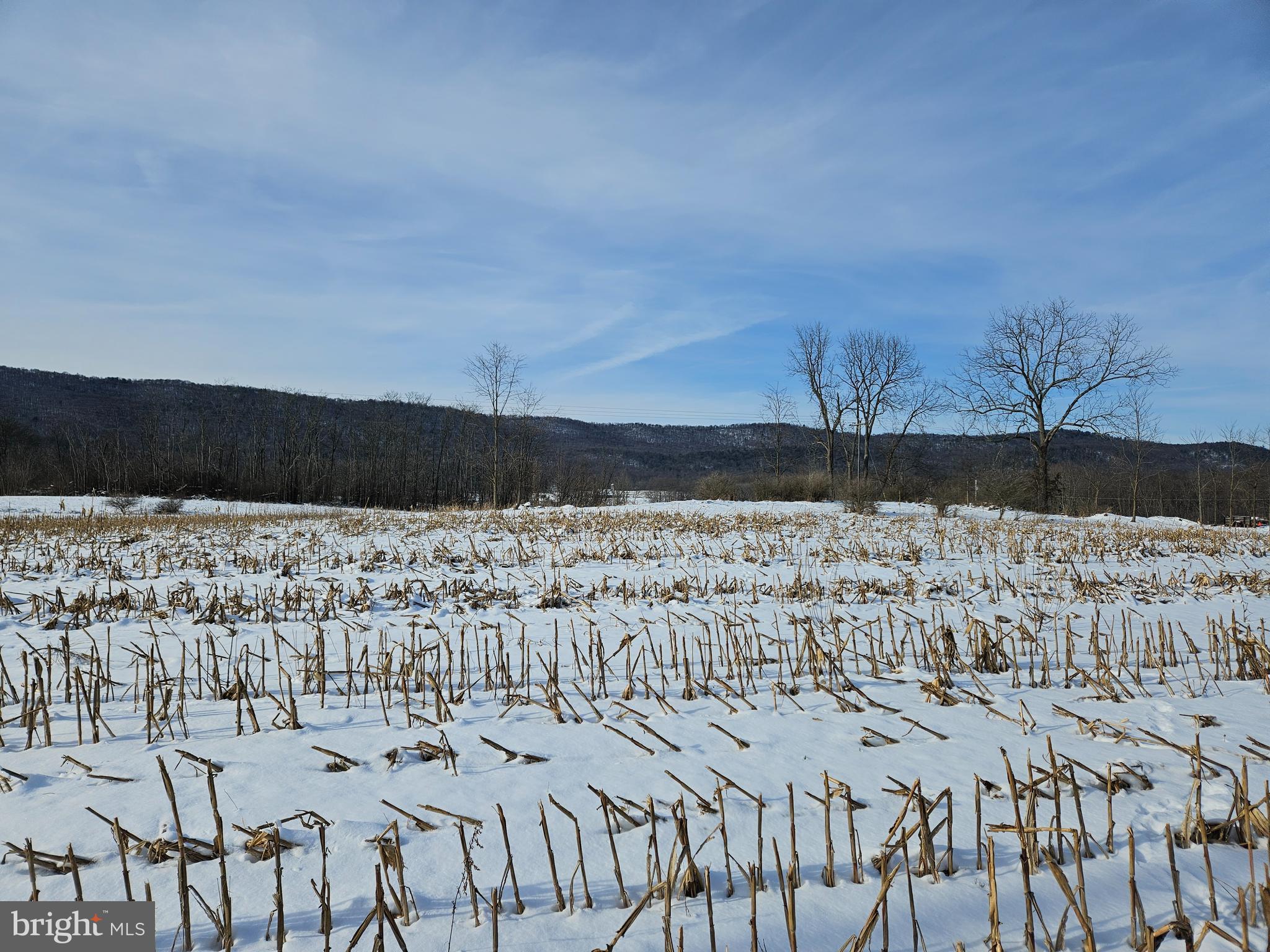 11 Path Valley Road Fort Loudon, PA 17224 - Photo 4 of 5 Gallery Image 4