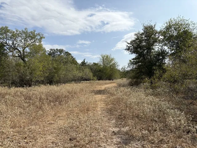 a view of a dry yard with trees