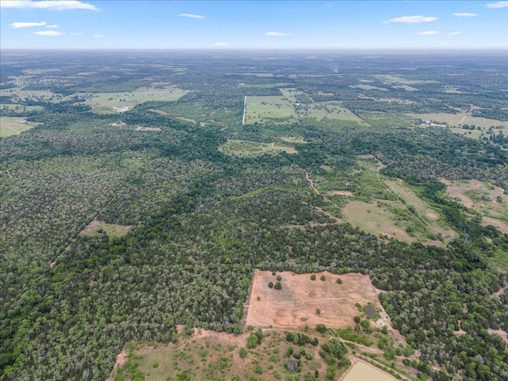Tbd 207.5-acres Tbd 207.5-acres Anchor Ranch Loop Flatonia, TX 78941 - Photo 11 of 20 an aerial view of residential house and green space